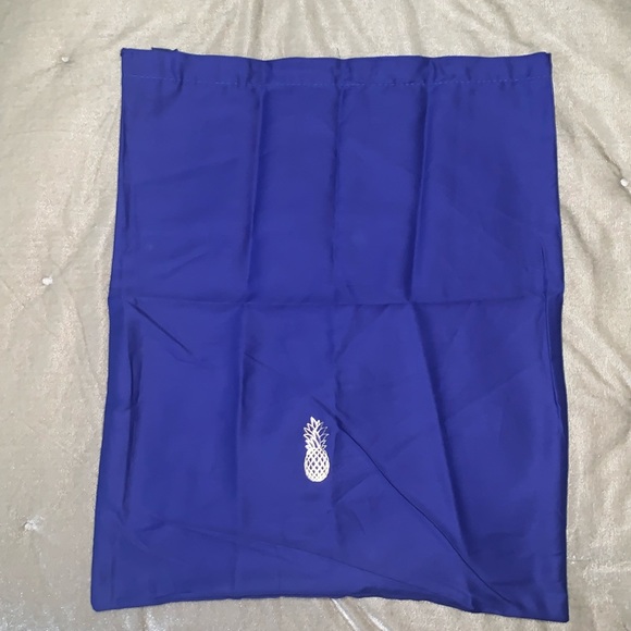 Aquazzura Other - Aquazzura Authentic L Dust Bag